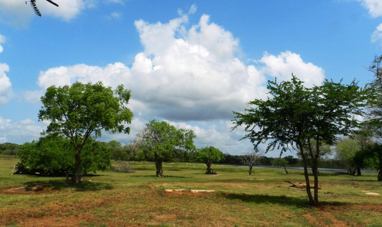 Villa The Ibis - Wilpattu Puttalam Esterno foto
