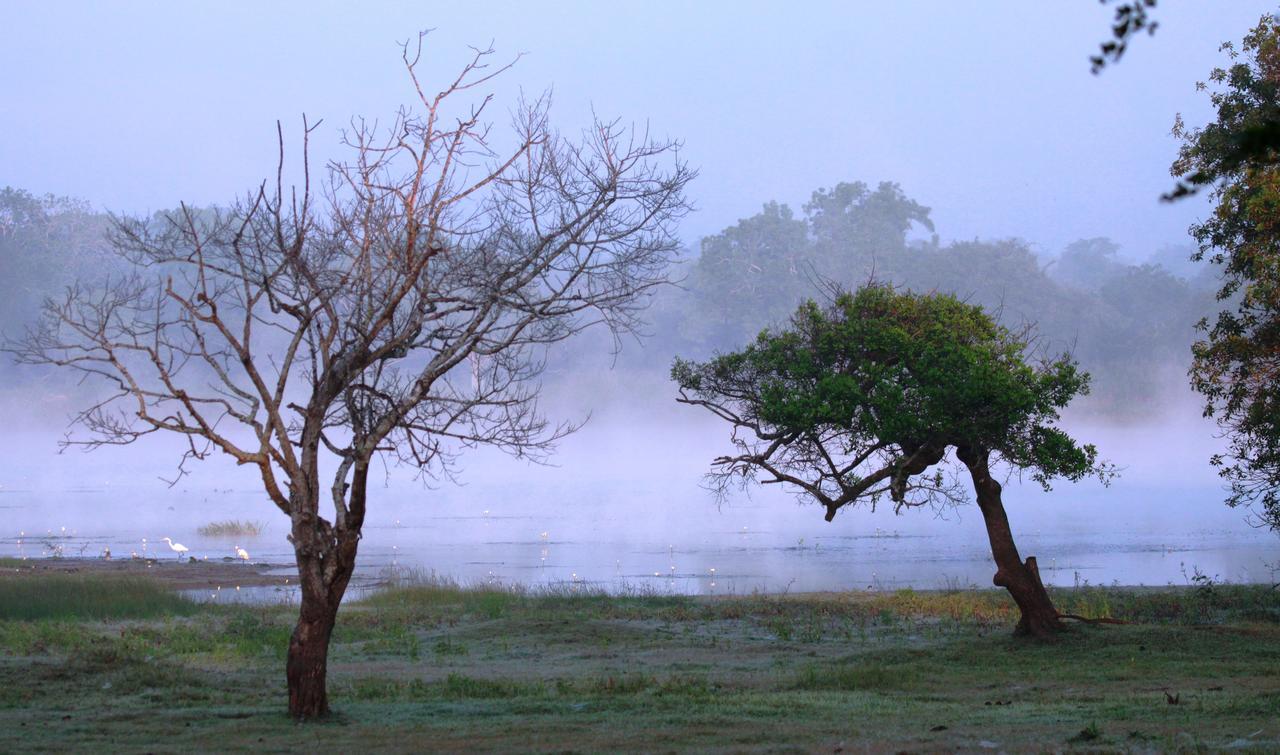 Villa The Ibis - Wilpattu Puttalam Esterno foto