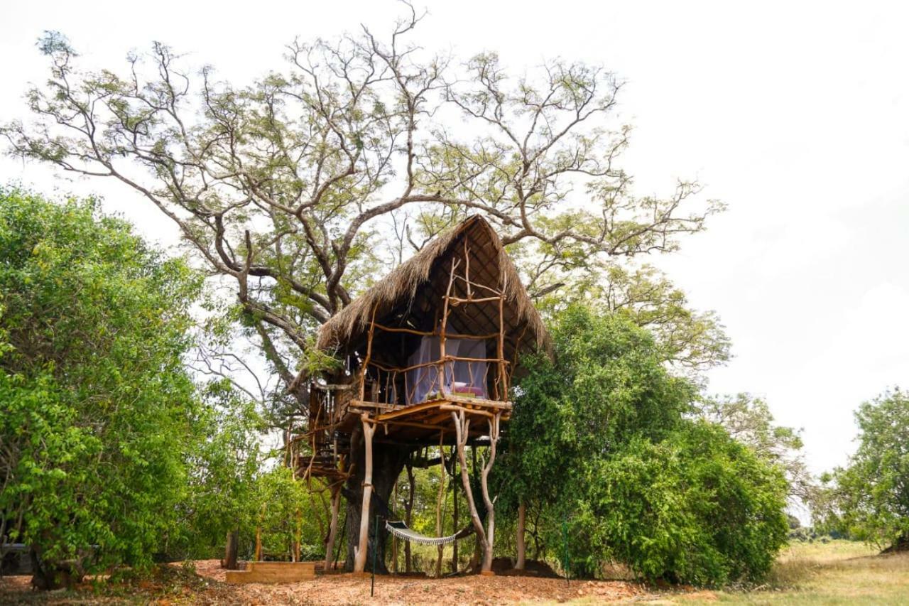 Villa The Ibis - Wilpattu Puttalam Esterno foto